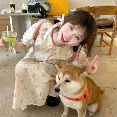 小娇妻